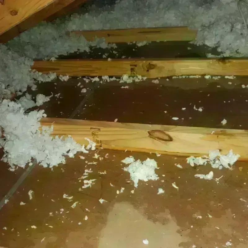 Attic Water Damage in Towner County, ND