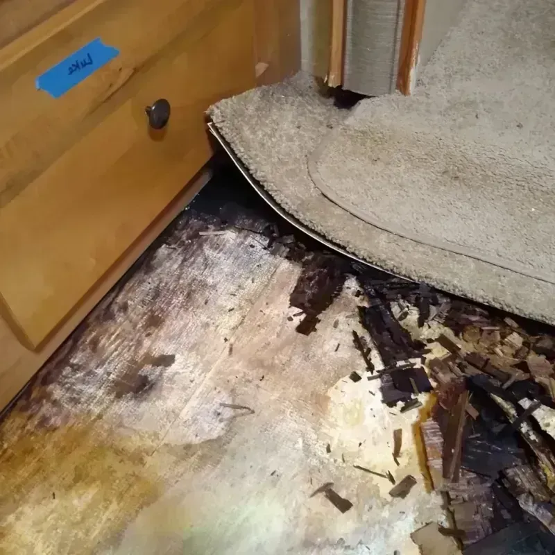 Wood Floor Water Damage in Towner County, ND